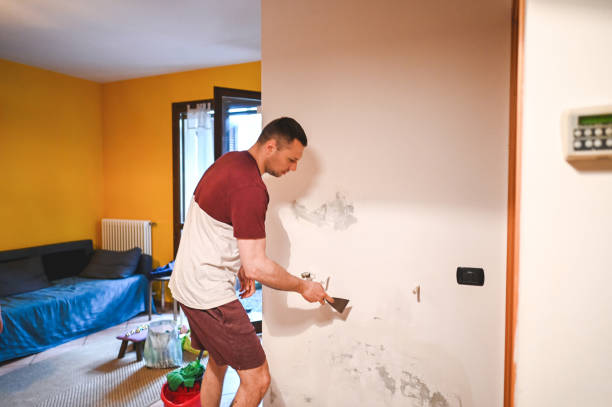 Best Mold Damage Repair  in Northford, CT